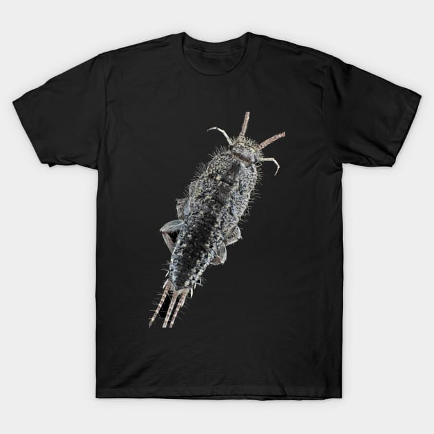 Zygentoma silverfish T-Shirt by SDym Photography